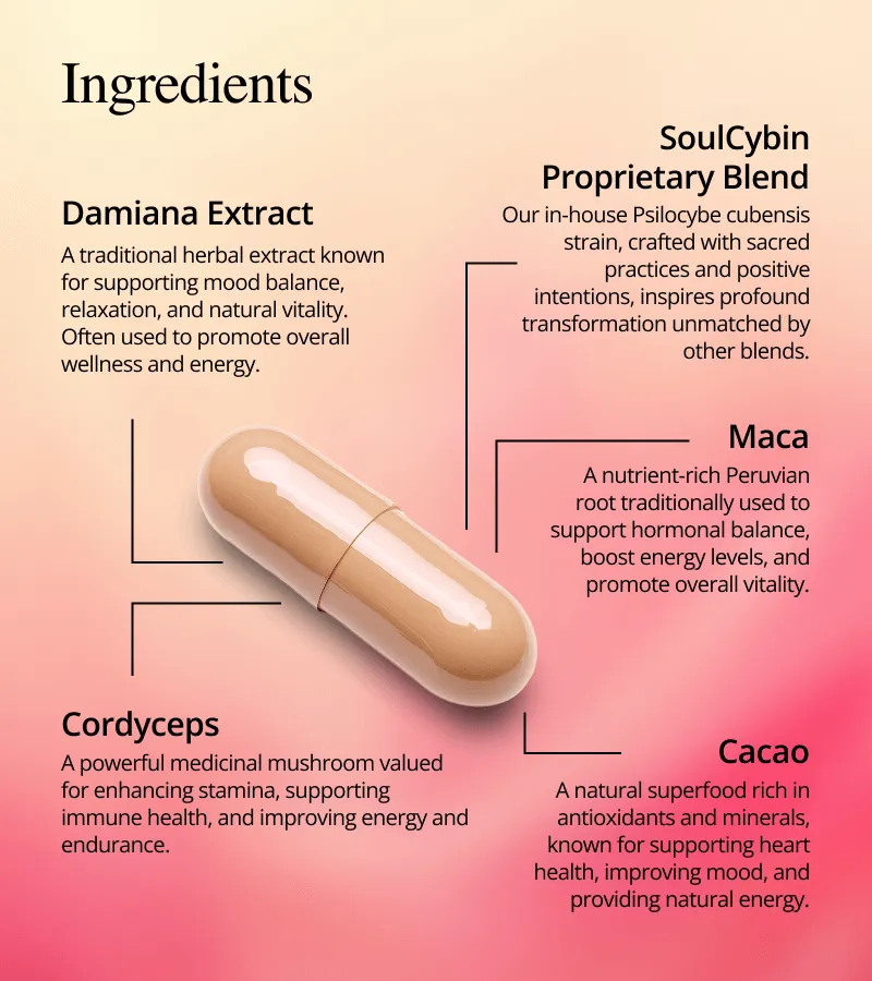 Radiant Heart – “Embodied Connection”