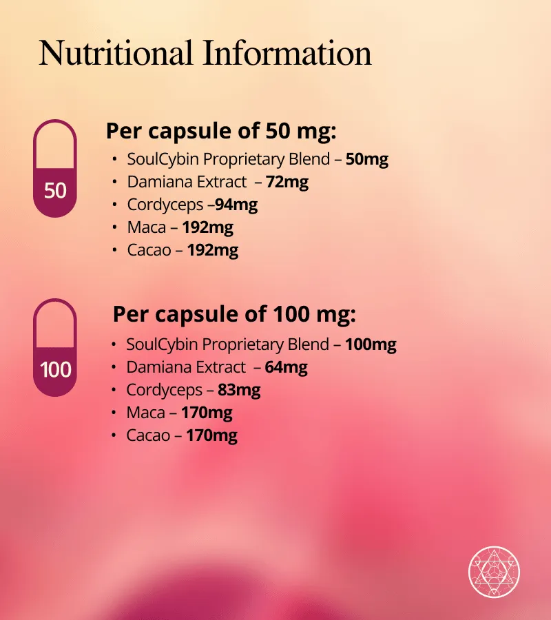 Radiant Heart – “Embodied Connection” - Image 6
