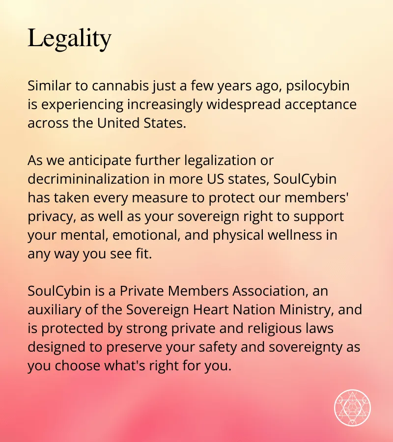 Radiant Heart – “Embodied Connection” - Image 7