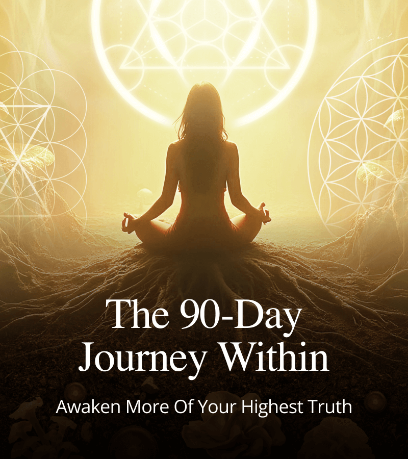 The Journey Within – A 90-Day Microdosing Transformation Box - Image 4