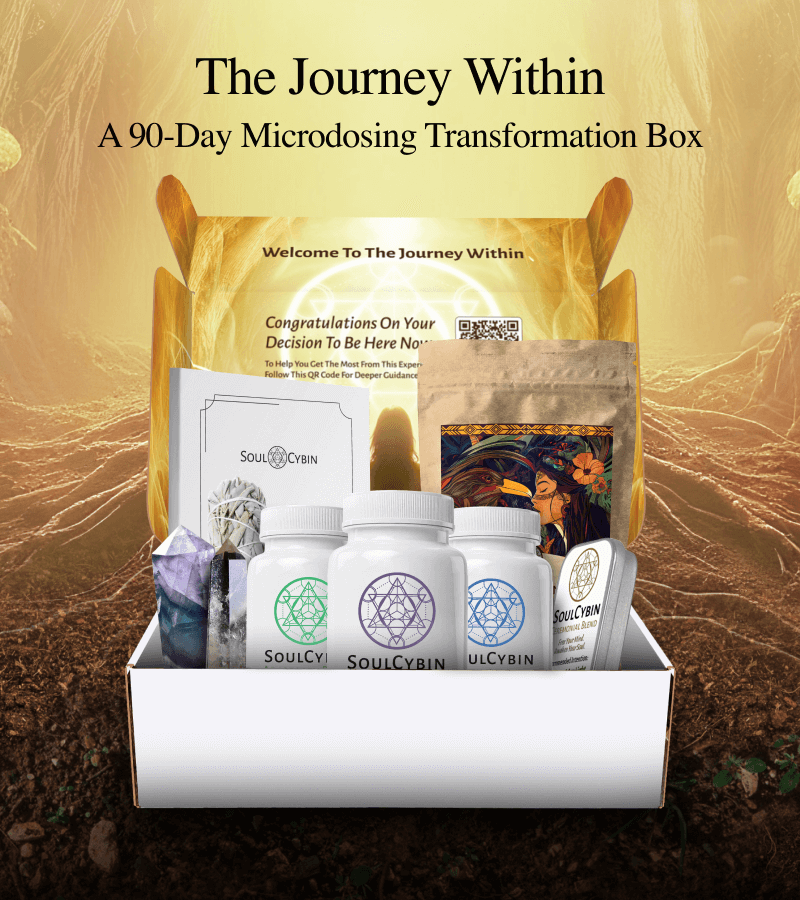 The Journey Within – A 90-Day Microdosing Transformation Box - Image 2