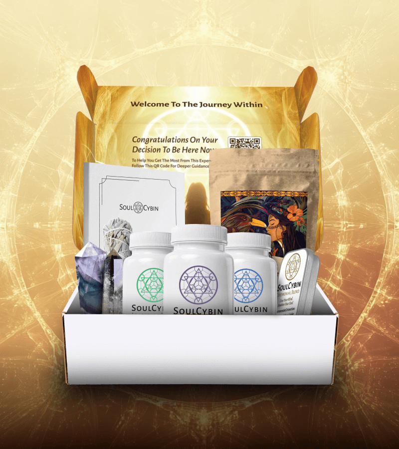 The Journey Within – A 90-Day Microdosing Transformation Box